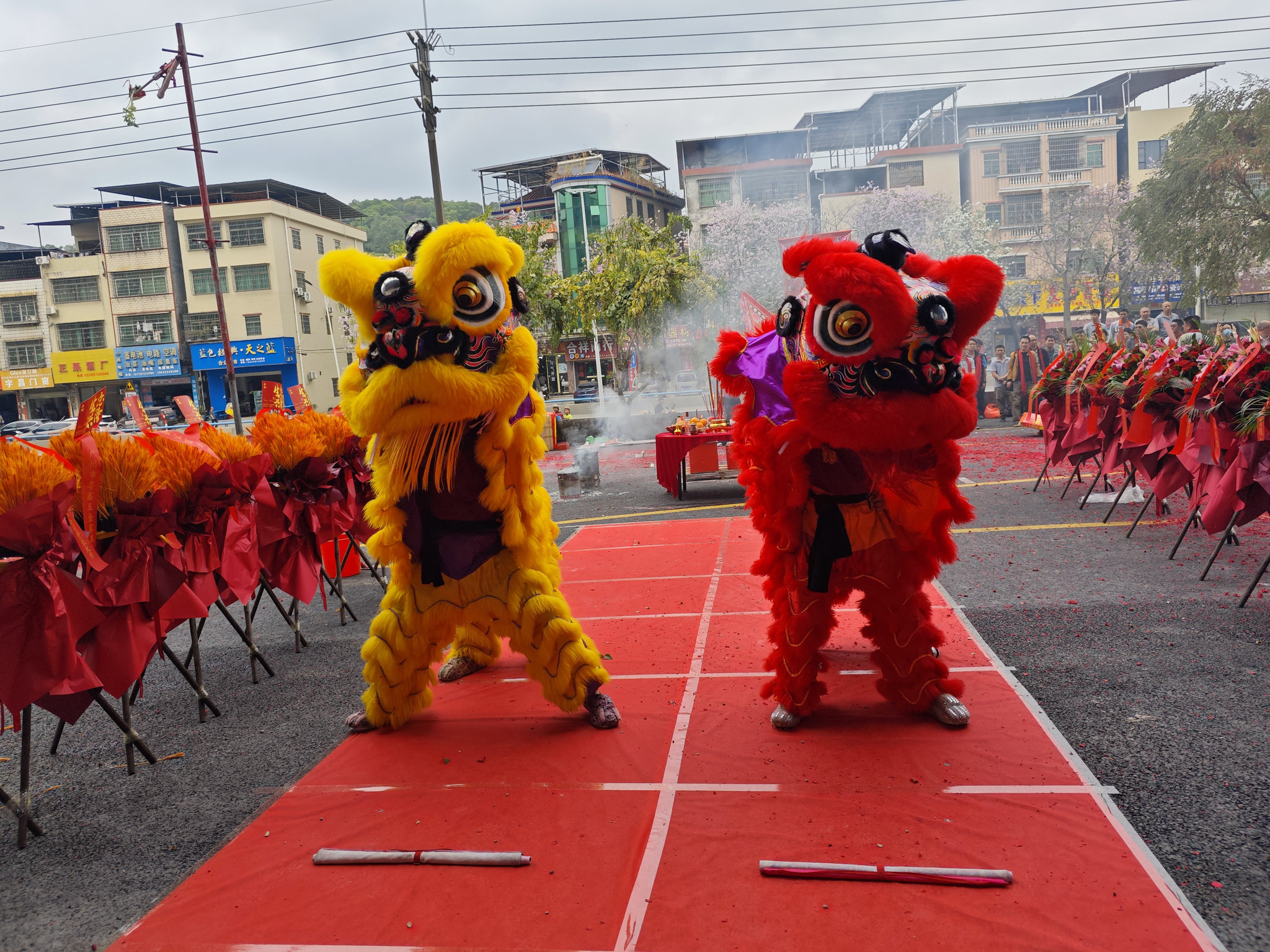 MVIMG_20260225_113431_結(jié)果.jpg